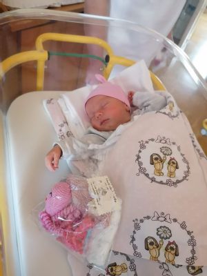 V krompašskej nemocnici sa za polroka narodilo takmer 370 detí Najčastejšími menami boli Michal a Nela